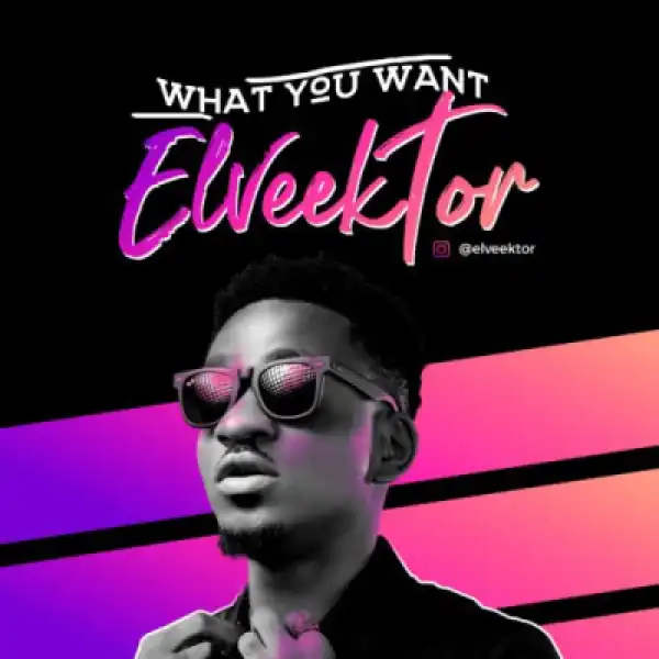 Elveektor - “What You Want”